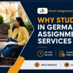 Why Students in Germany Use Assignment Help Services